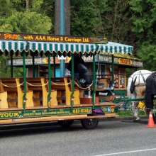 Stanley Park Horse Drawn Carriage Ride