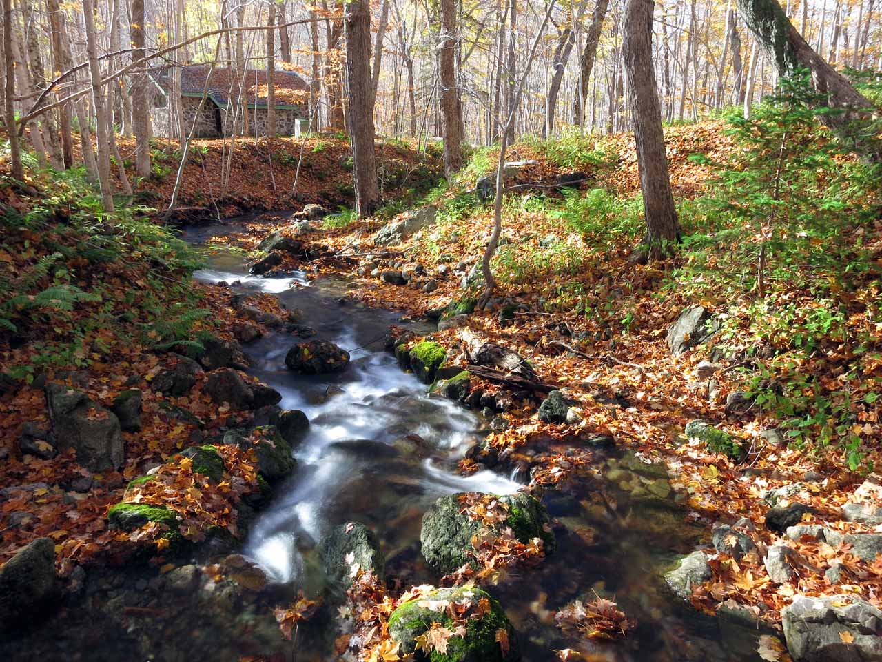 fall-stream