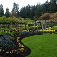 The gardens at Stanley Park
